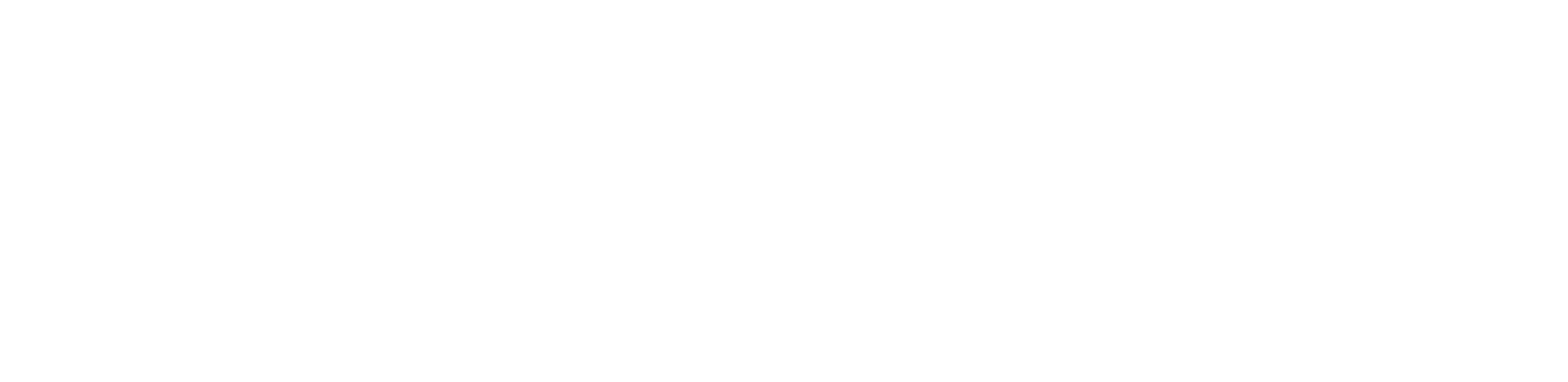 Het-Feestje
